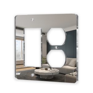 Duplex Outlet/Rocker-Mirror